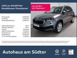 Graphitegrau metallic Gebraucht 2024 Skoda Karoq Selection SUV | 29.980 € (Fairer Preis)