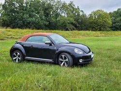 VW Beetle