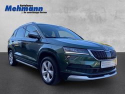 Grün Gebraucht 2019 Skoda Karoq SUV | 24.950 € (Fairer Preis)