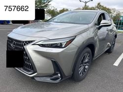 Grau Neu 2025 Lexus NX350h SUV | 49.950 € (Superpreis)