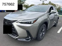 Grau Neu 2025 Lexus NX350h SUV | 49.950 € (Superpreis)