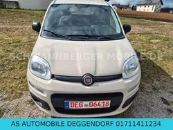 Beige Gebraucht 2017 Fiat Panda Easy Kleinwagen | 6.500 € (Fairer Preis)