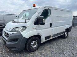 Weiß Gebraucht 2016 Fiat Ducato Van | 15.000 €