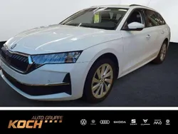 Moonweiss metallic Gebraucht 2024 Skoda Octavia Selection Kombi | 30.930 € (Fairer Preis)