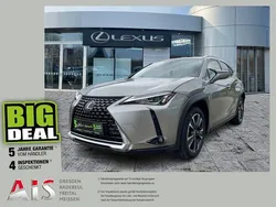 Sonic titanium Gebraucht 2020 Lexus UX 250h SUV | 23.490 € (Superpreis)