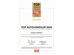 Grau (metallic) Gebraucht 2020 Renault Trafic Komfort Van | 13.690 € (Superpreis)