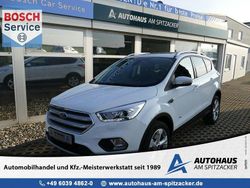 Frostweiß Gebraucht 2019 Ford Kuga Titanium SUV | 16.950 € (Guter Preis)