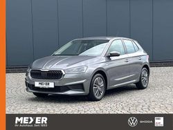 Grau Gebraucht 2023 Skoda Fabia Tour Kleinwagen | 19.790 € (Etwas zu teuer)