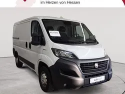 Weiss Gebraucht 2020 Fiat Ducato Van | 17.589 € (Superpreis)