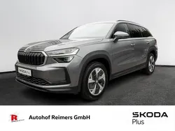 Grau Gebraucht 2024 Skoda Kodiaq Selection SUV | 43.521 € (Guter Preis)