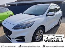 Weiß Gebraucht 2024 Ford Kuga ST-Line X SUV | 26.950 € (Superpreis)
