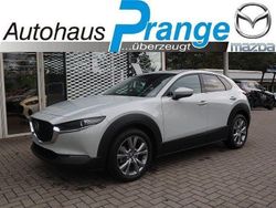 Zircon sand Neu 2025 Mazda CX-30 Exclusive-Line SUV | 30.985 €