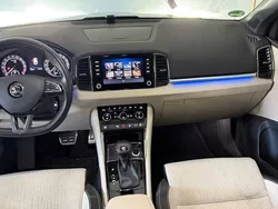 Grün Gebraucht 2020 Skoda Karoq SportLine SUV | 26.800 € (Guter Preis)
