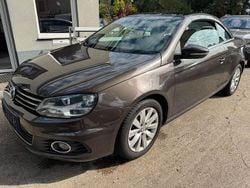 Braun Gebraucht 2013 VW Eos Cabrio | 14.990 € (Etwas zu teuer)