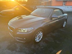 Grau Gebraucht 2015 BMW 218 Sport Line Cabrio | 13.500 € (Fairer Preis)