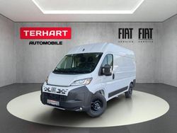 Weiss (pastell)) (weiss Neu 2025 Fiat Ducato Van | 33.305 € (Fairer Preis)