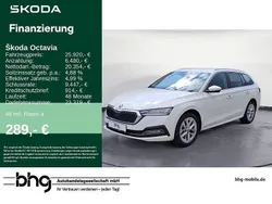 Candyweiß Gebraucht 2023 Skoda Octavia Style Kombi | 25.550 € (Fairer Preis)