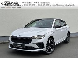 Weiss Neu 2025 Skoda Scala Monte Carlo Kleinwagen | 31.490 € (Teuer)