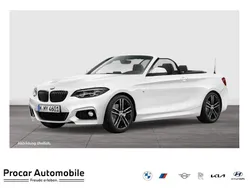 Weiß Gebraucht 2019 BMW 220 M Sport Cabrio | 27.999 € (Teuer)