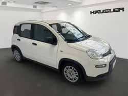 Weiß Gebraucht 2024 Fiat Panda Kleinwagen | 13.990 € (Fairer Preis)