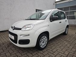 Weiß Gebraucht 2019 Fiat Panda Easy Kleinwagen | 7.950 € (Guter Preis)
