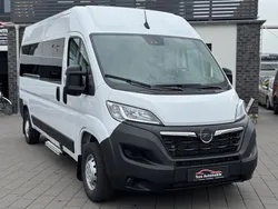 Weiß Neu 2024 Opel Movano Van | 31.999 € (Guter Preis)