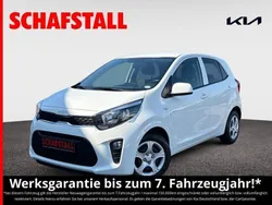 Weiss ((ud) schneeweiss) Gebraucht 2024 Kia Picanto Vision Kleinwagen | 15.479 € (Fairer Preis)