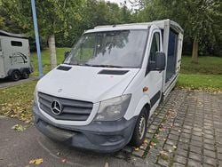 Weiß Gebraucht 2013 Mercedes Sprinter Van | 12.899 € (Etwas zu teuer)