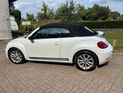 Weiß Gebraucht 2024 VW Beetle Exclusive Cabrio | 18.800 €