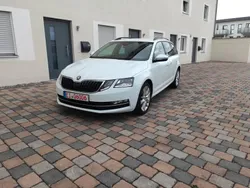 Weiß Gebraucht 2019 Skoda Octavia Style Kombi | 9.900 € (Superpreis)