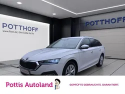 Candyweiss Gebraucht 2023 Skoda Octavia Style Kombi | 26.877 € (Guter Preis)