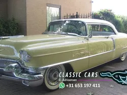Gelb Gebraucht 1956 Cadillac Deville Coupé | 57.950 €