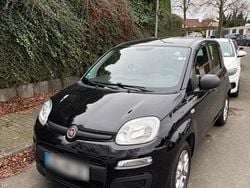 Schwarz Gebraucht 2019 Fiat Panda Easy Kleinwagen | 6.399 € (Fairer Preis)