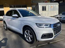Ibisweiß Gebraucht 2019 Audi Q5 S-Line SUV | 29.900 € (Superpreis)