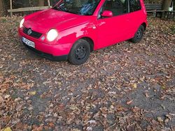 Rot Gebraucht 2003 VW Lupo Kleinwagen | 1.100 € (Fairer Preis)