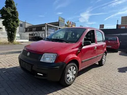 Rot Gebraucht 2009 Fiat Panda Active Kleinwagen | 750 € (Guter Preis)