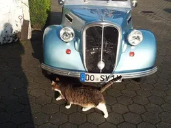 Blau Gebraucht 1979 Citroën 2CV Cabrio | 14.000 €