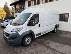 Weiß Gebraucht 2017 Fiat Ducato Van | 12.990 € (Superpreis)