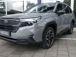 Grau Neu 2025 Subaru Forester Exclusive+ SUV | 43.599 € (Fairer Preis)