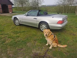 Silber Gebraucht 1998 Mercedes SL280 Cabrio | 24.900 € (Fairer Preis)