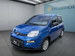 Blau Gebraucht 2024 Fiat Panda Kleinwagen | 14.999 € (Fairer Preis)