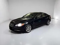 Schwarz Gebraucht 2010 Jaguar XF Luxury Limousine | 7.800 € (Fairer Preis)
