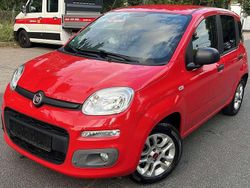 Colore esterno Gebraucht 2017 Fiat Panda More Kleinwagen | 6.999 € (Fairer Preis)