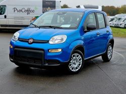 Blau Neu 2024 Fiat Panda Kleinwagen | 14.690 €