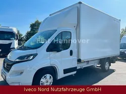 Weiß Neu 2024 Fiat Ducato Van | 59.381 €