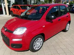 Rot Neu 2025 Fiat Panda Kleinwagen | 17.490 €
