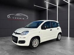 Weiß Gebraucht 2021 Fiat Panda Kleinwagen | 7.950 € (Superpreis)