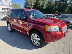 Rot Gebraucht 2009 Land Rover Freelander 2 SUV | 4.999 € (Guter Preis)