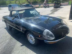 Schwarz Gebraucht 1979 Alfa Romeo Spider Veloce Cabrio | 10.000 €