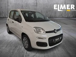 Weiß Neu 2025 Fiat Panda Kleinwagen | 15.970 €